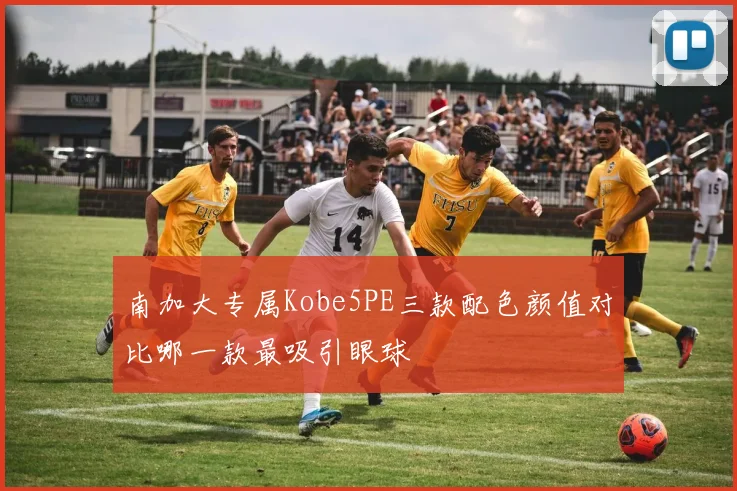 南加大专属Kobe5PE三款配色颜值对比哪一款最吸引眼球